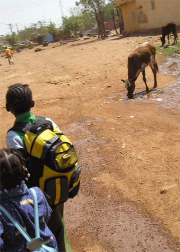 Devant la maison, une vache s’abreuve. Prudentes, les écolières font un petit détour. À la maison, le déjeuner attend. A 14h15, Assan reprendra le chemin de l’école.