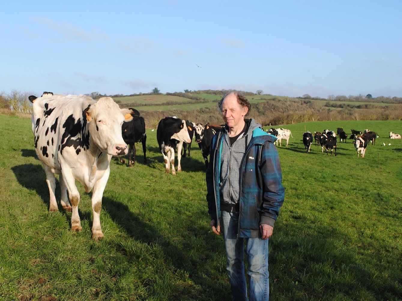Jean-Pierre GEURNION, 58 ans, est éleveur laitier à Hillion. Il élève 55 vaches laitières. Il a aussi deux taureaux et environ 40 génisses © Globe Reporters