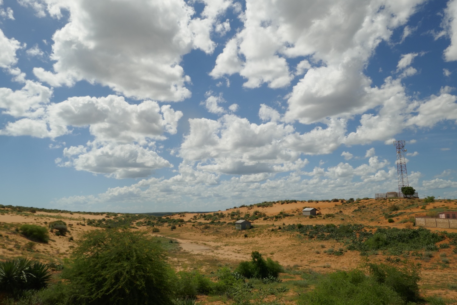 Paysage aride typique au sud-ouest de Madagascar, en chemin vers Mangily et le village des Tortues © Globe Reporters