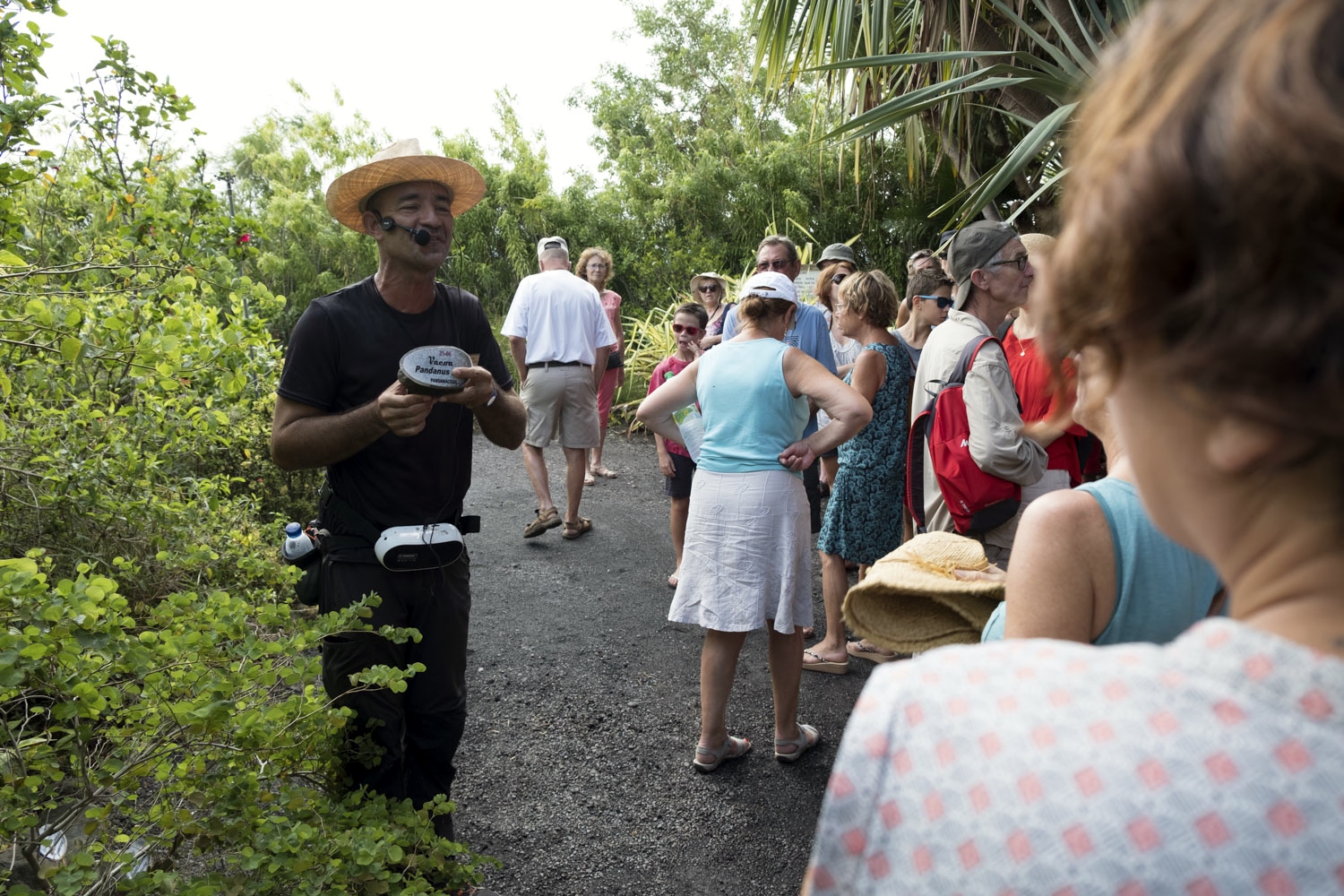 Le Domaine du Café Grillé a ouvert en 2011 à Saint-Pierre, à l’île de la Réunion. Ce parc de 4 hectares contient environ 950 espèces de plantes différentes, soit environ 10 000 arbres plantés. 