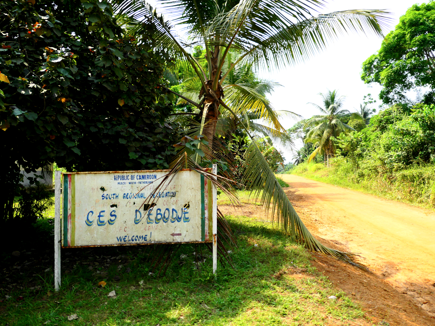 Le collège d’Ebodjé est situé le long de la piste qui relie la ville de Kribi jusqu’à la frontière de la Guinée équatoriale © Globe Reporters