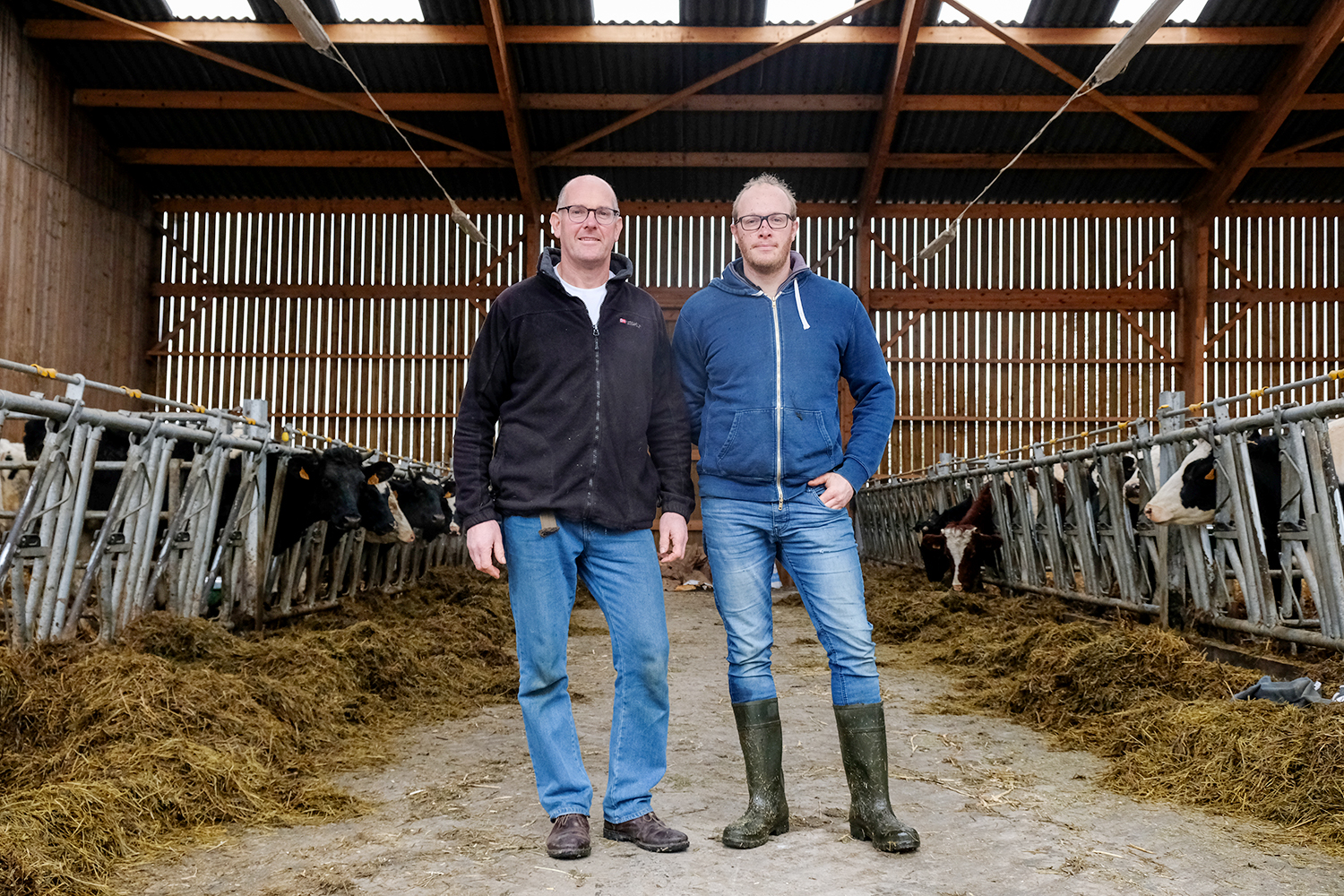 Hervé et Gautier LINGRAND, agriculteurs de père en fils à Leforest, dans la nouvelle étable construite pour accueillir les jeunes vaches.