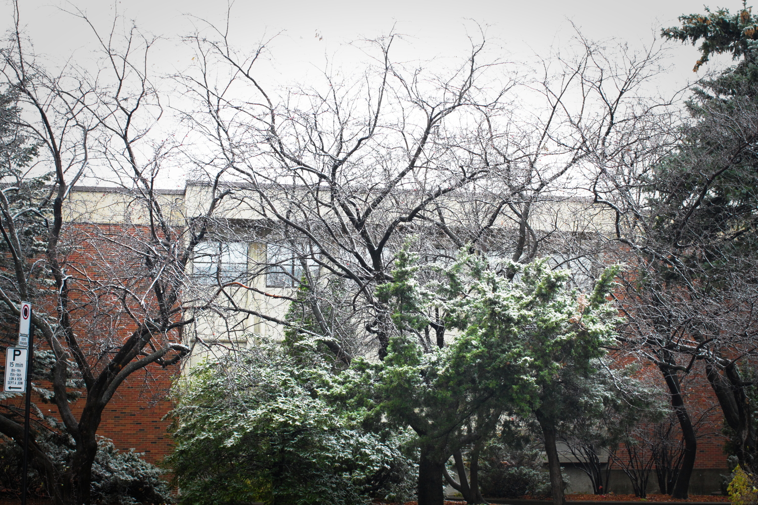 Premières neiges à Montréal.