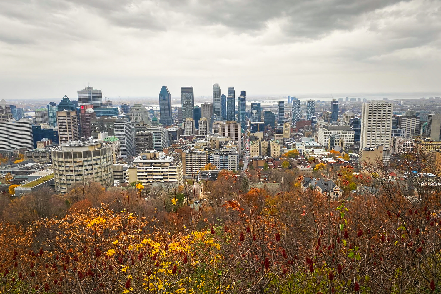 Vue du Mont-Royal sur le centre-ville de Montréal © Globe Reporters