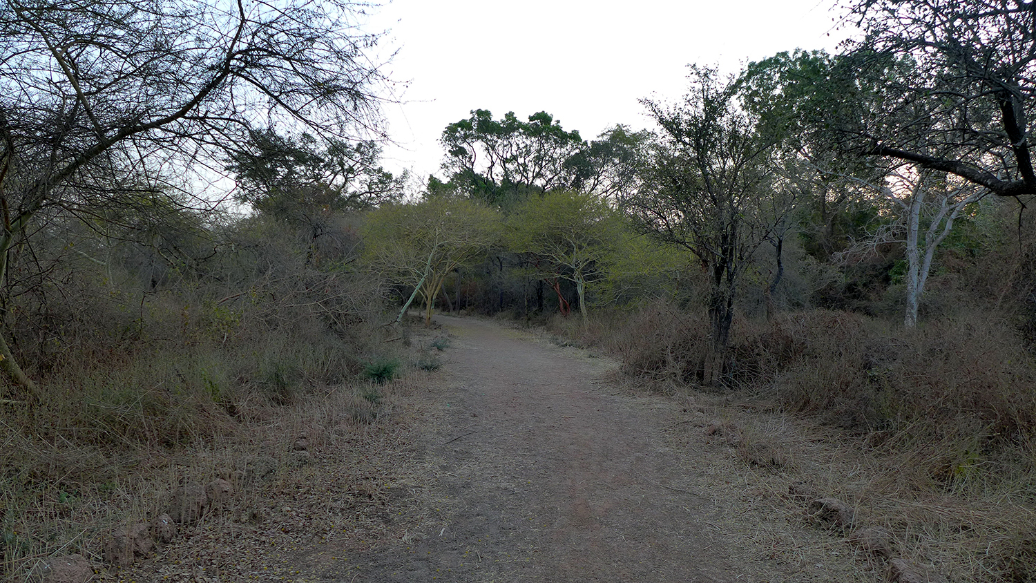 Une fois dans le parc, les arbres offrent un oasis de fraicheur et de calme que les Ouagalais apprécient pour se balader et faire du sport.