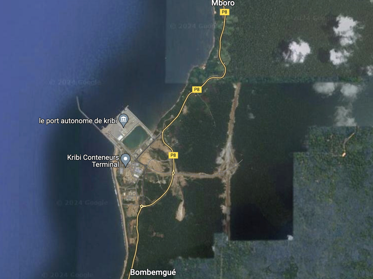 La construction du port en eaux profondes de Kribi a détruit de nombreuses plages où venaient pondre les tortues marines