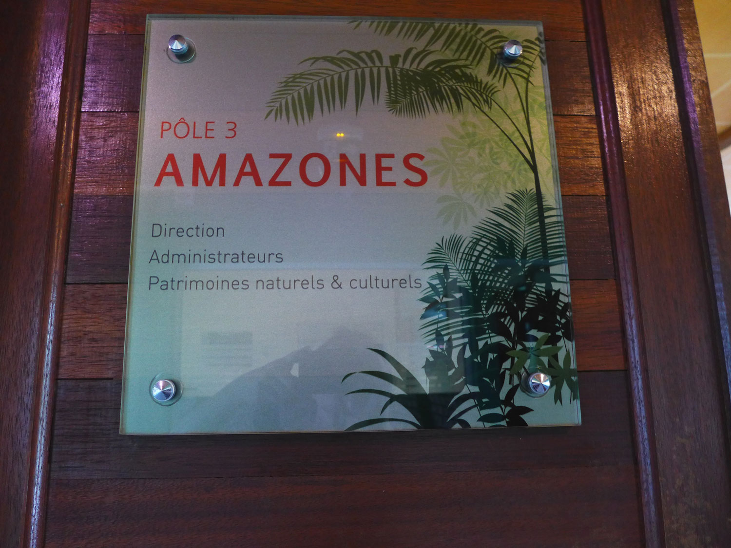 Dans les bureaux du Parc amazonien à Cayenne.