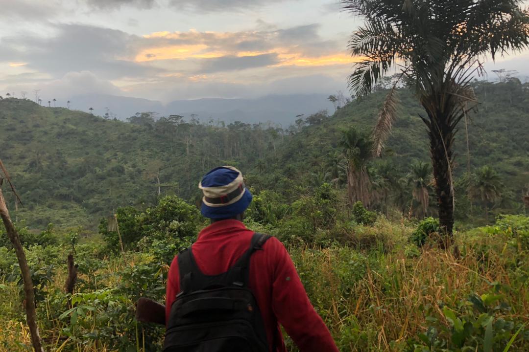 Bernard, le guide, face à la forêt classée des monts Nimba qu’il faut traverser sur une piste de jungle pour atteindre le mont Richard Molard.