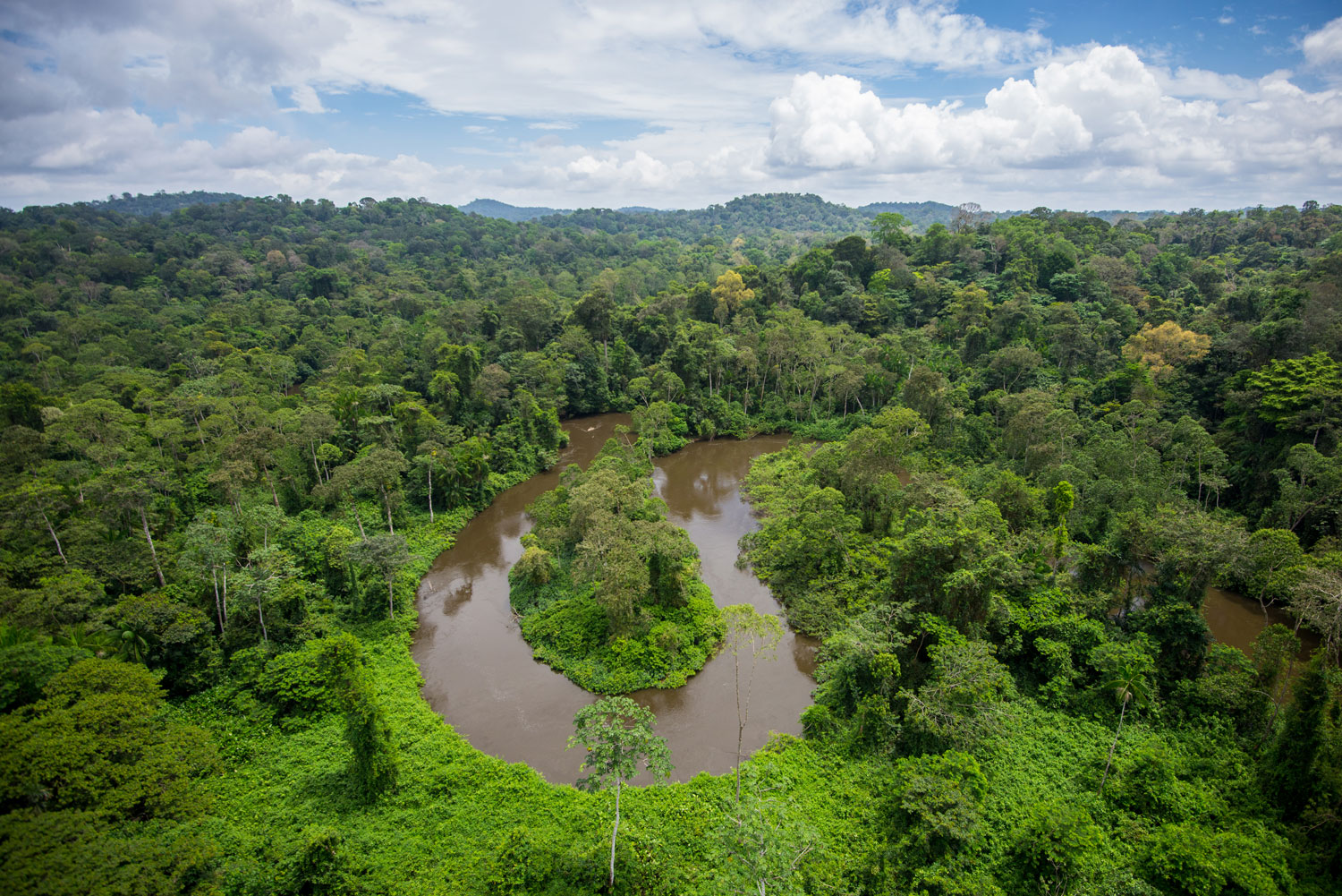 Vue aérienne du Parc amazonien – crédit G. FEUILLET Parc amazonien de Guyane