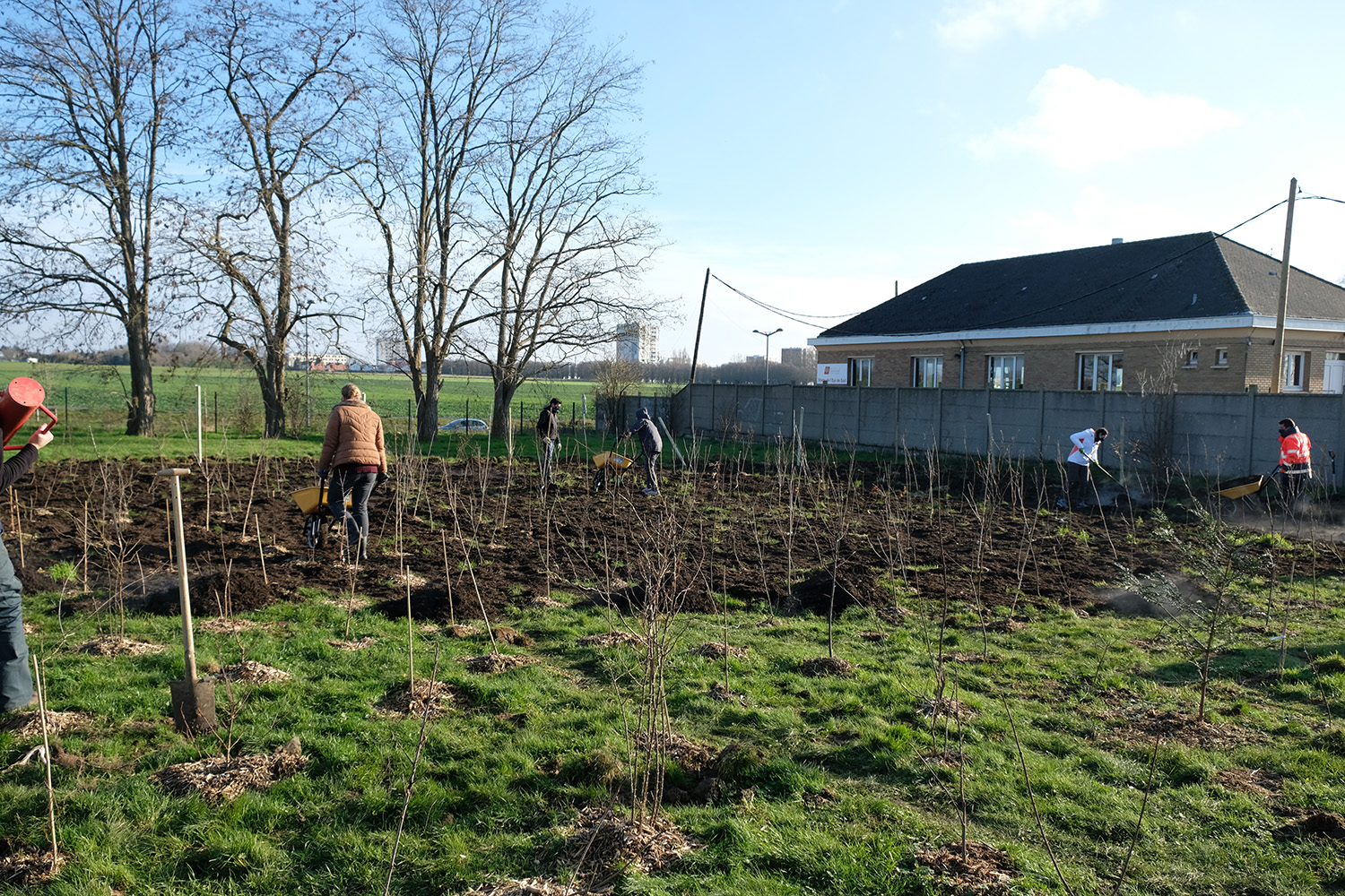 Jeudi 10 décembre 2020, les salariés et bénévoles de l’association plantent une « mini-forêt » sur un terrain de l’IME-La Pépinière à Loos, au sud de Lille © Globe Reporters