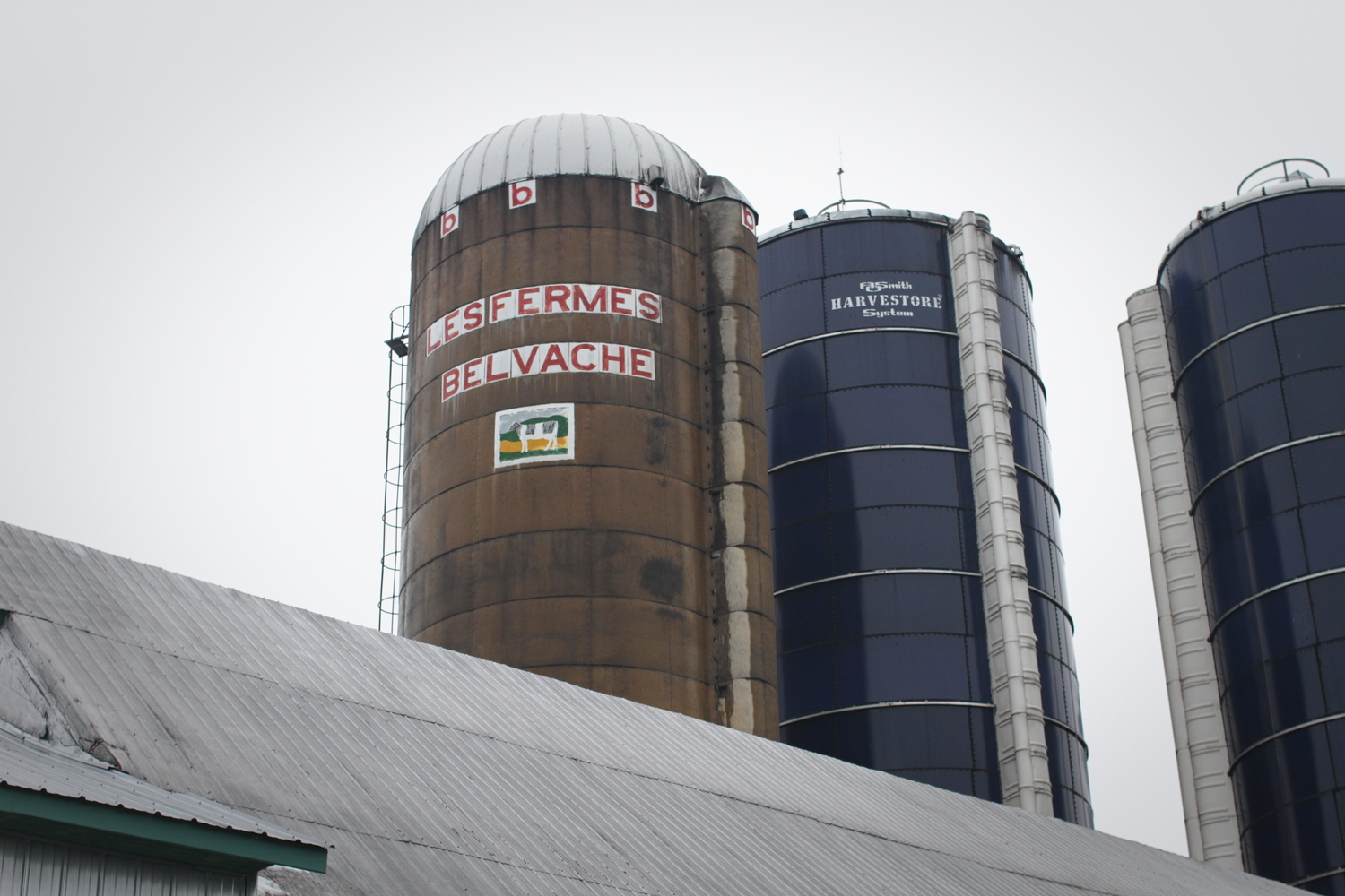 Les silos de la ferme où sont stockés les grains.