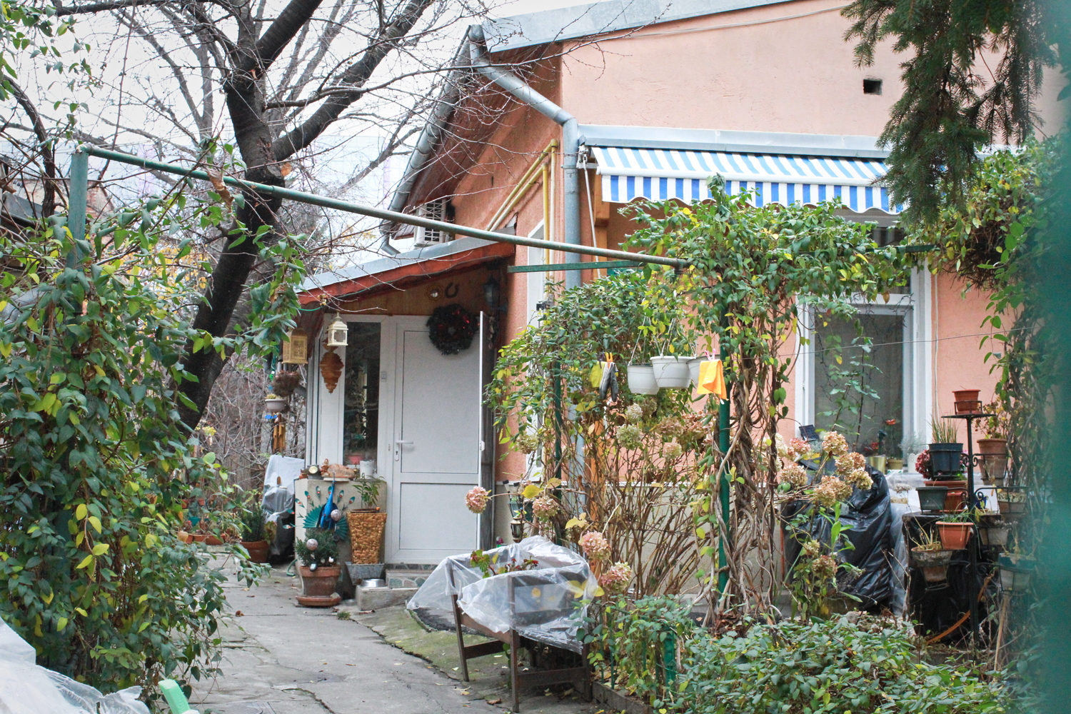 À Bucarest, nombreuses sont les maisons avec des petits jardins. © Globe Reporters