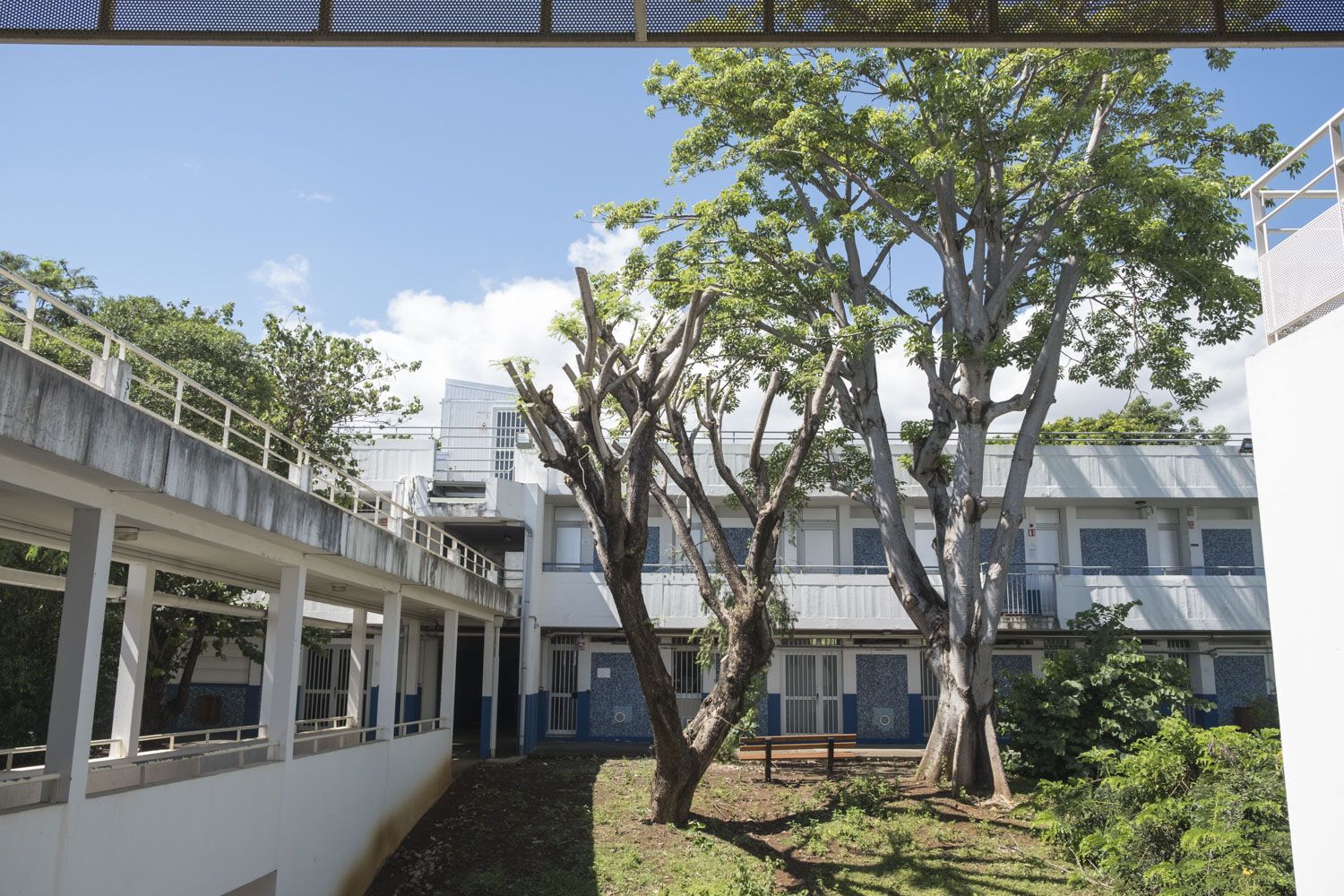 Les salles de classe de l’UFR Sciences et technologies de l’Université de la Réunion. Cette Unité de Formation et de Recherche dispose de 7 départements de formation (mathématiques, informatique, physique et sciences pour l’ingénieur, chimie, sciences du vivant, géosciences) et de 8 laboratoires. 