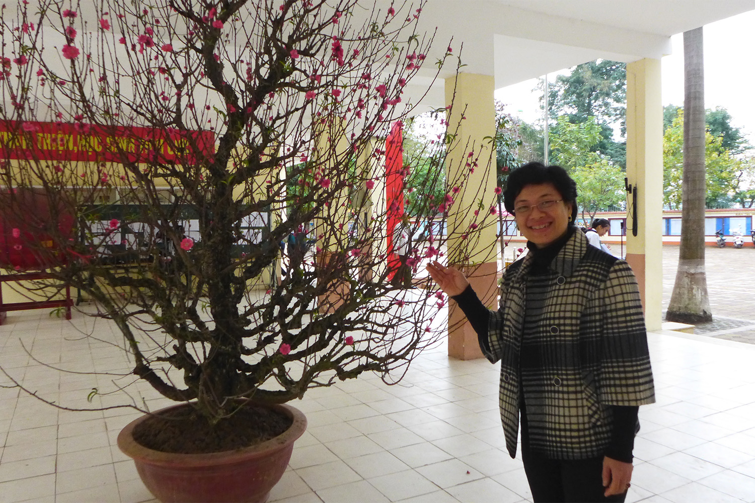 Mme Thuy Huyen Nguyen, enseignante, m’accueille. Elle pose ici devant un arbre à fleurs typique du Têt.