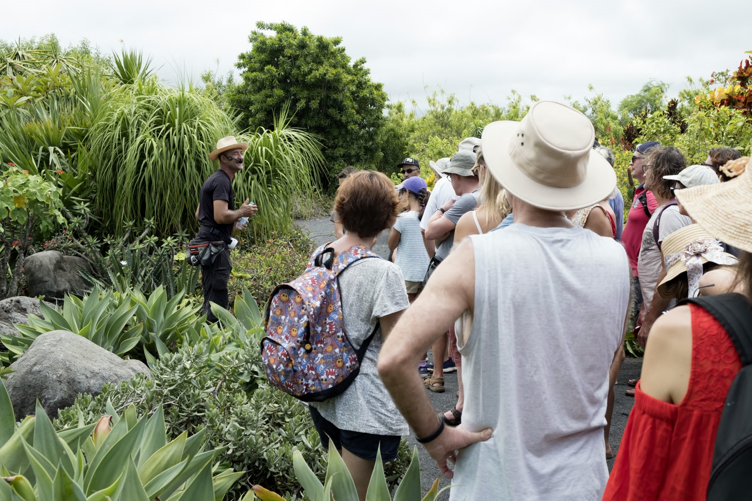 La visite dure 2 heures et les guides racontent l’histoire de leur île à travers les plantes. On commence avec les plantes contemporaines, pour revenir ensuite sur les cultures qui ont fait la valeur de l’île aux yeux des colons de l’époque : le café, la vanille et la canne à sucre.
