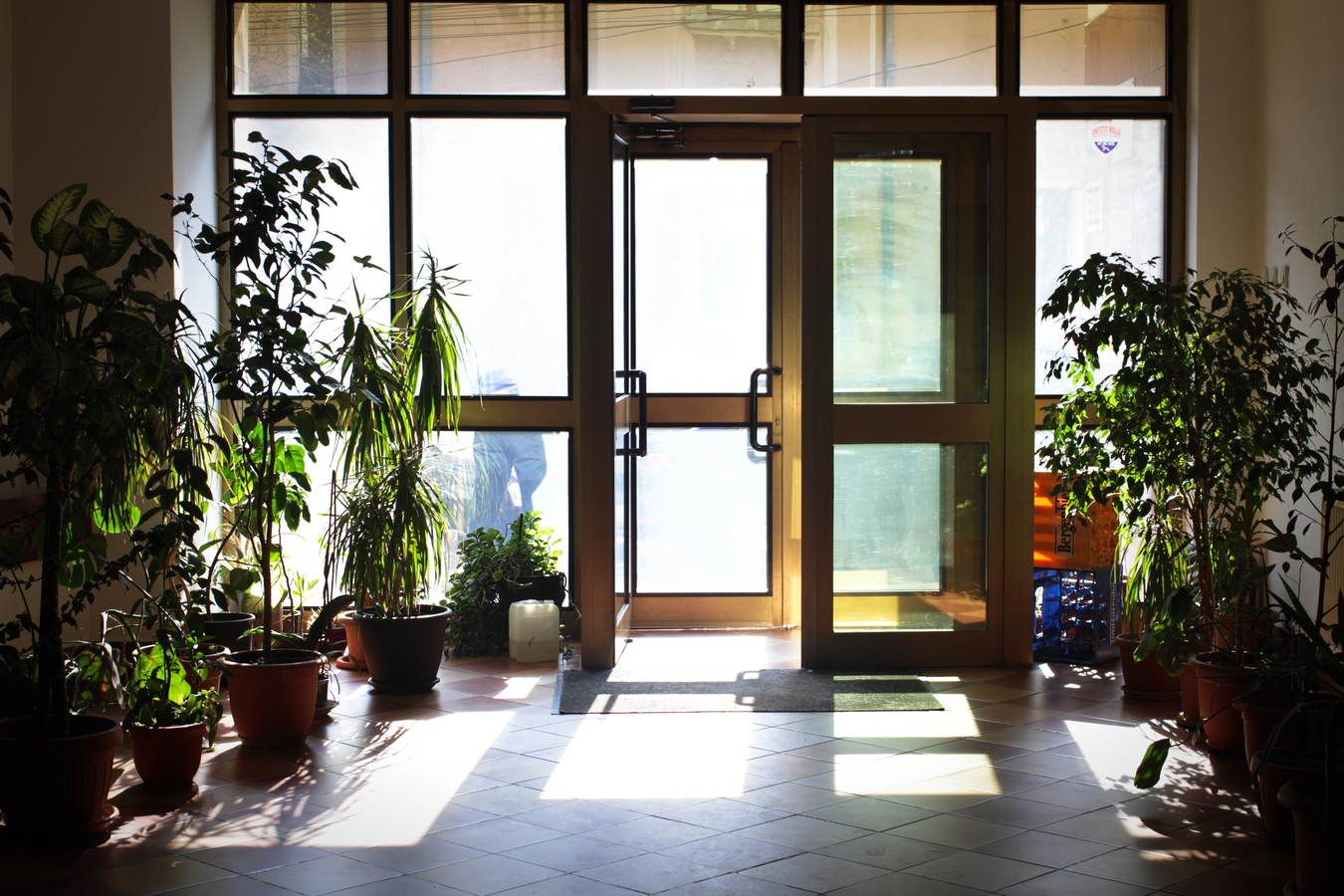 Entrée de l’immeuble. À Bucarest, il est commun de voir des halls ou des escaliers cou-verts de plantes, certains se transformant parfois en mini jungles urbaines.