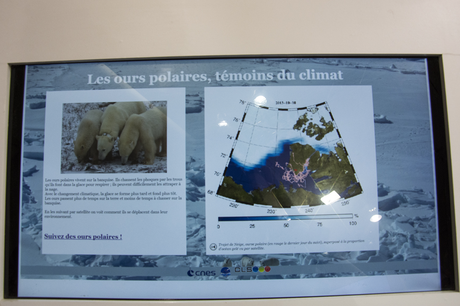 Un écran interractif sur les conséquences de la fonte des glaces pour les ours polaire - Pavillon français, zone bleu de la COP 22.