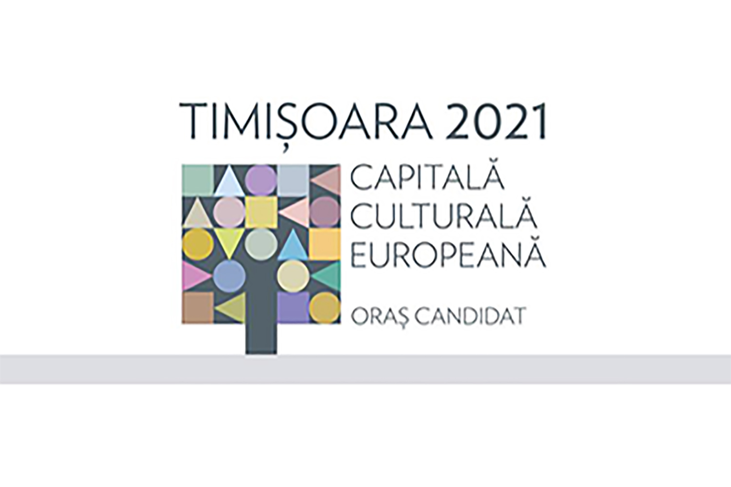 Comme Istanbul en 2010, Timisoara sera capitale européenne de la culture en 2021