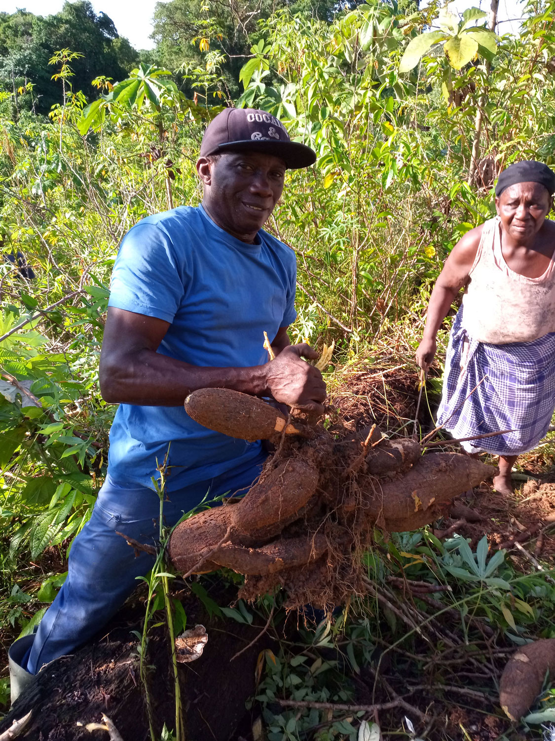 Un couple à l’abattis. L’homme prépare le sac de manioc à porter pour la femme – crédit Stécyna KIKI