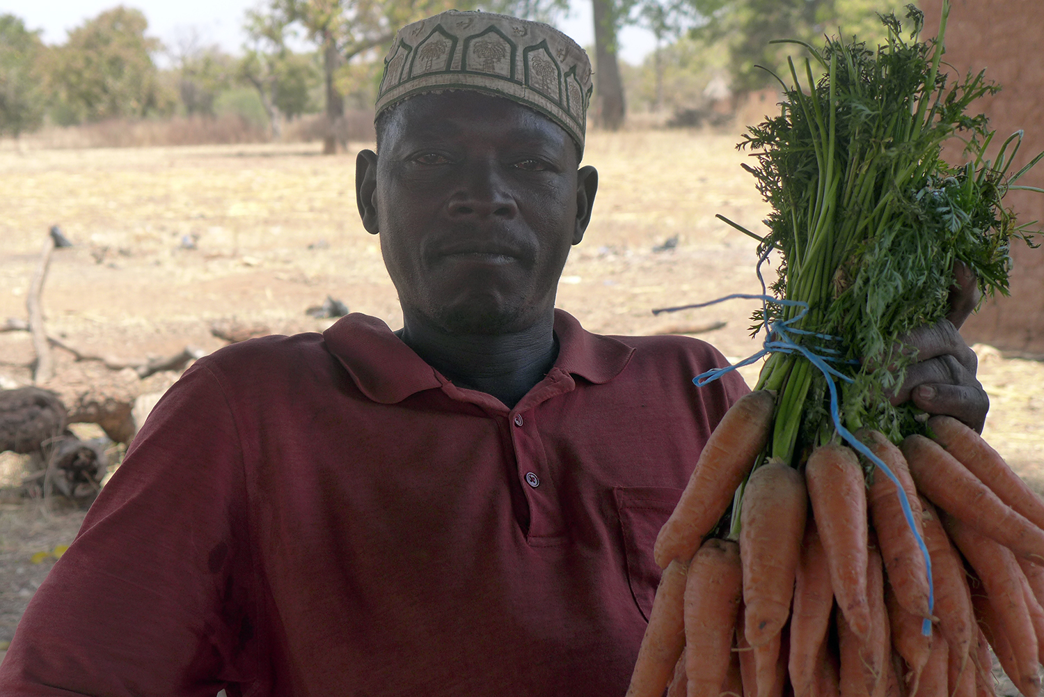 Khalifa WATARA préfère cultiver des légumes et des grains qu’il va pouvoir vendre au marché au prix qu’il estime, plutôt que du coton. 