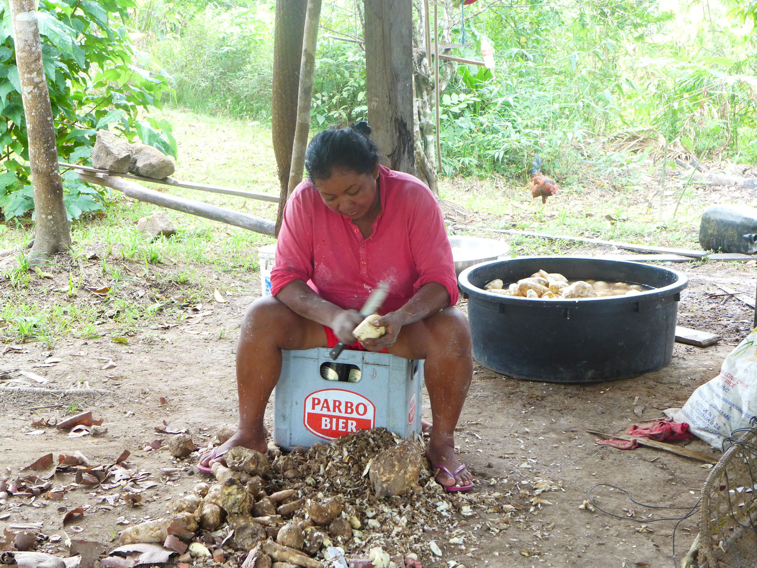 Étape suivante, l’épluchage du manioc.