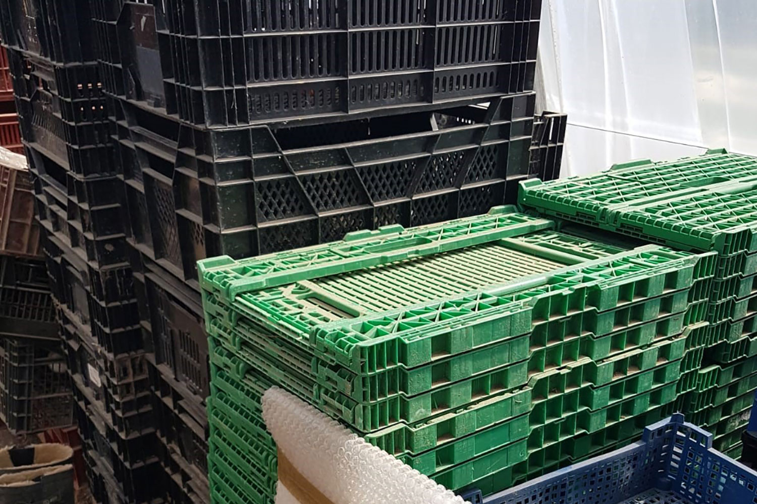 Pas d’emballages, les denrées récoltées sont transportées dans des cagettes © R MILLER