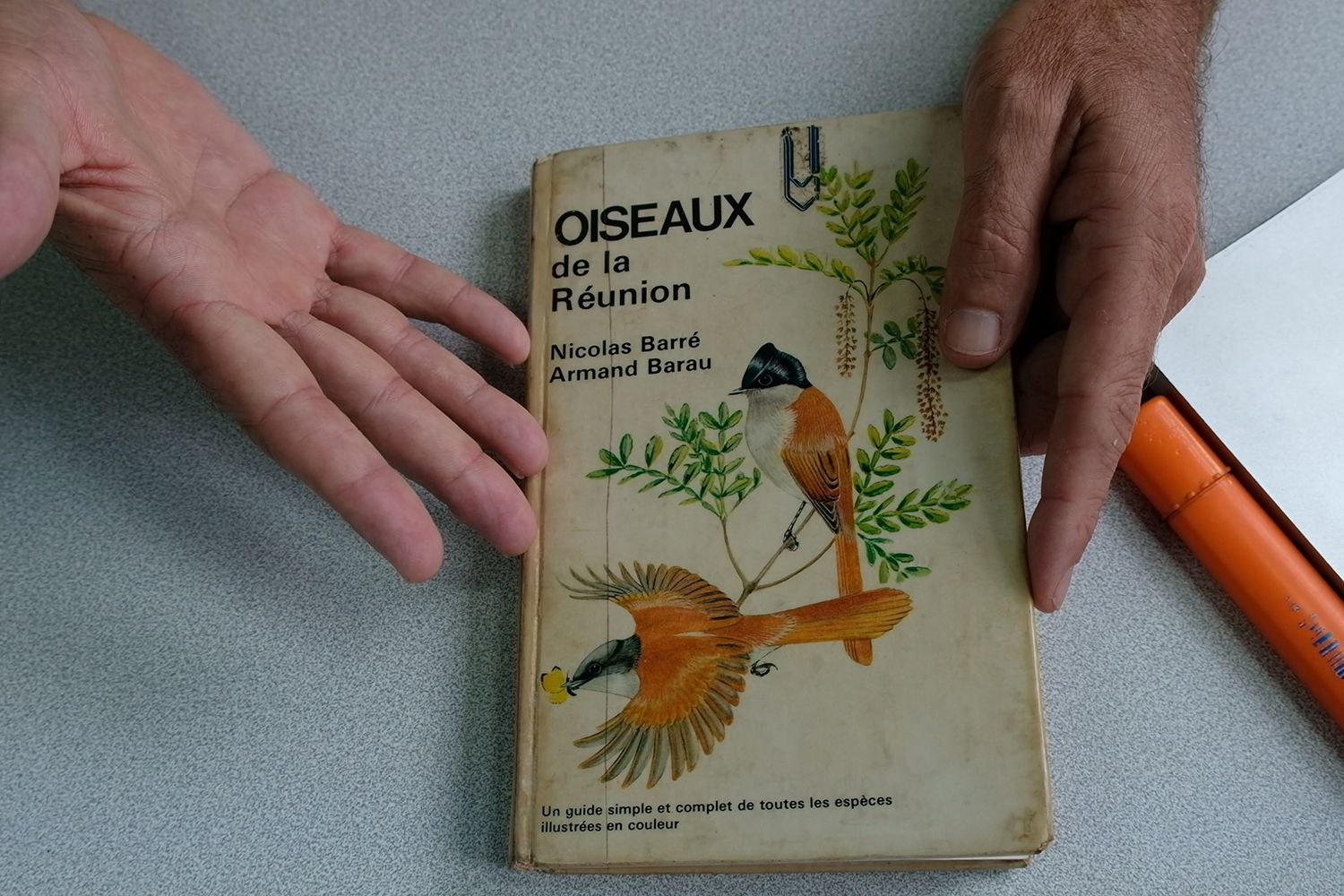 Un petit livre bien pratique pour tout savoir sur l’histoire des oiseaux de La Réunion. 