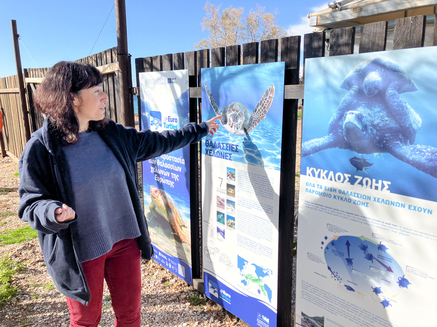 Anna KONDOLEON devant des panneaux explicatifs relatifs aux tortues marines © Globe Reporters