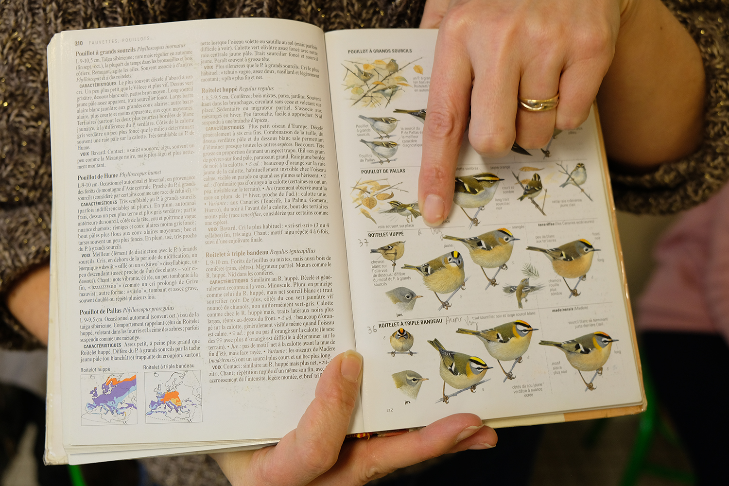 Raphaëlle DESWARTVAEGER a ramené un livre dont elle se sert pour montrer aux élèves les espèces dont elle parle durant l’interview © Globe Reporters