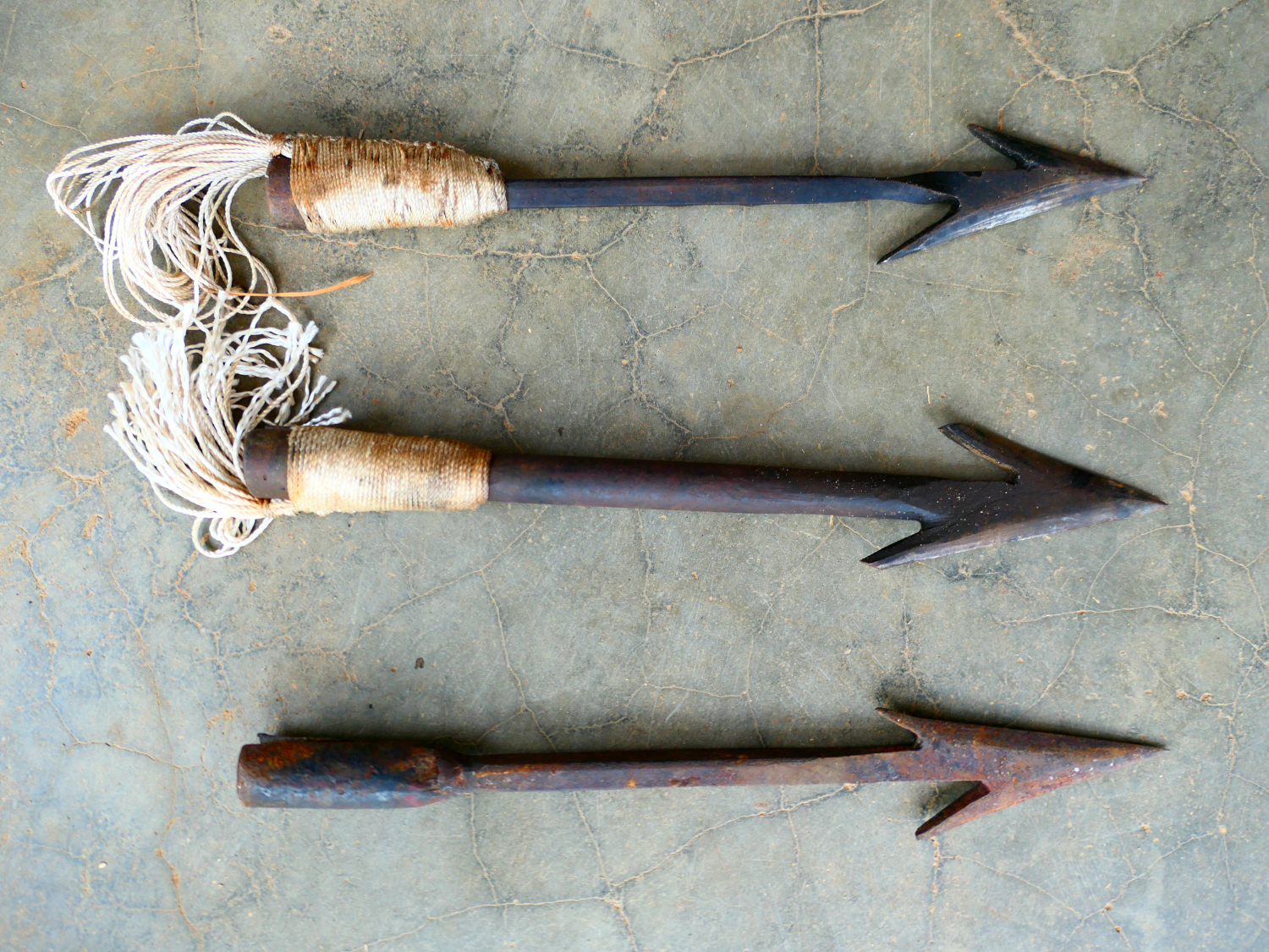 Fers pointus artisanaux de lances qui servent à chasser le lamantin © Globe Reporters