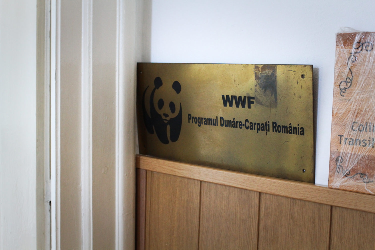 Panneau dans le bureau de WWF-Brasov qui indique « WWF – Programme Danube-Carpates Roumanie » © Globe Reporters