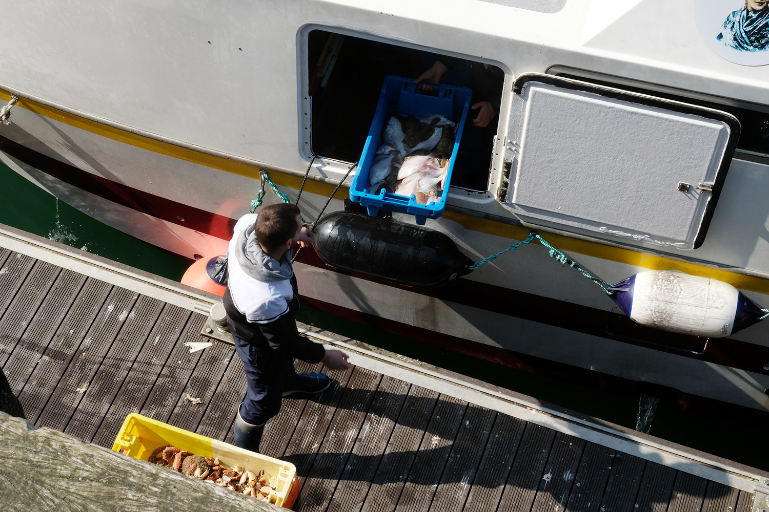 Les caisses de poissons s’enchaînent et sont desservies sur le quai © Globe Reporters