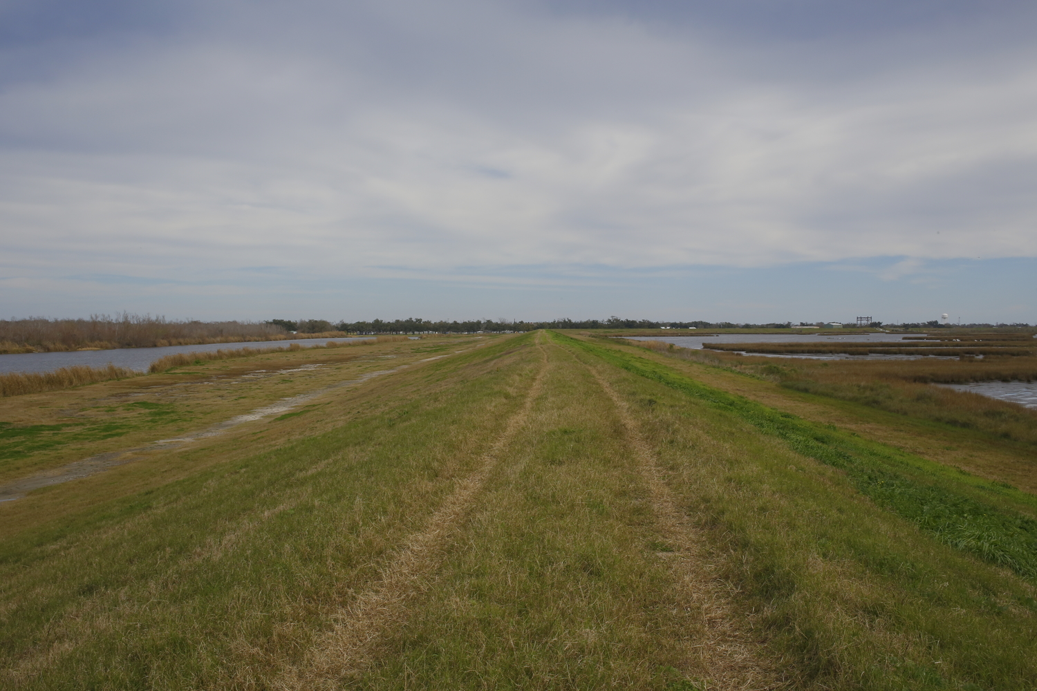 La digue qui protège la zone du bayou Lafourche : à droite, l’eau salée et des projets de restauration de marais, à gauche, l’eau douce et les marécages  © Globe Reporters