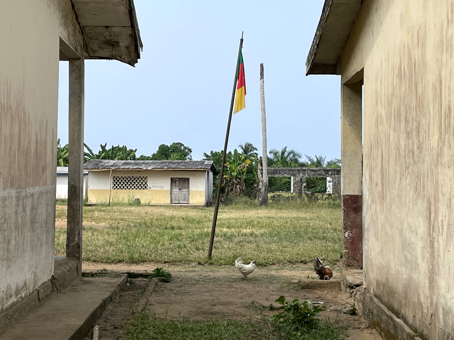 Il n’y a pas de clôture à l’école primaire d’Ebodjé, tout le monde est le bienvenu ! © Globe Reporters