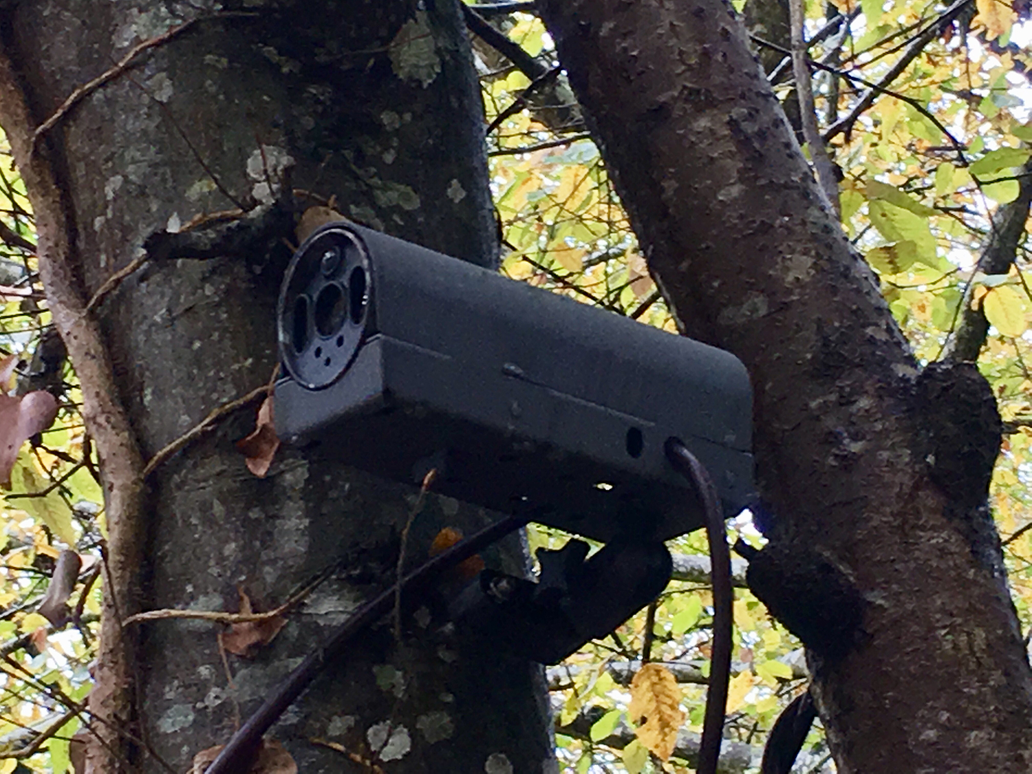 Pour lutter contre ces dépôts, des systèmes de surveillance ont été mis en place au sein même de la forêt. Des pièges photographiques permettent d’identifier les personnes ou les entreprises responsables de ces pollutions © ONF