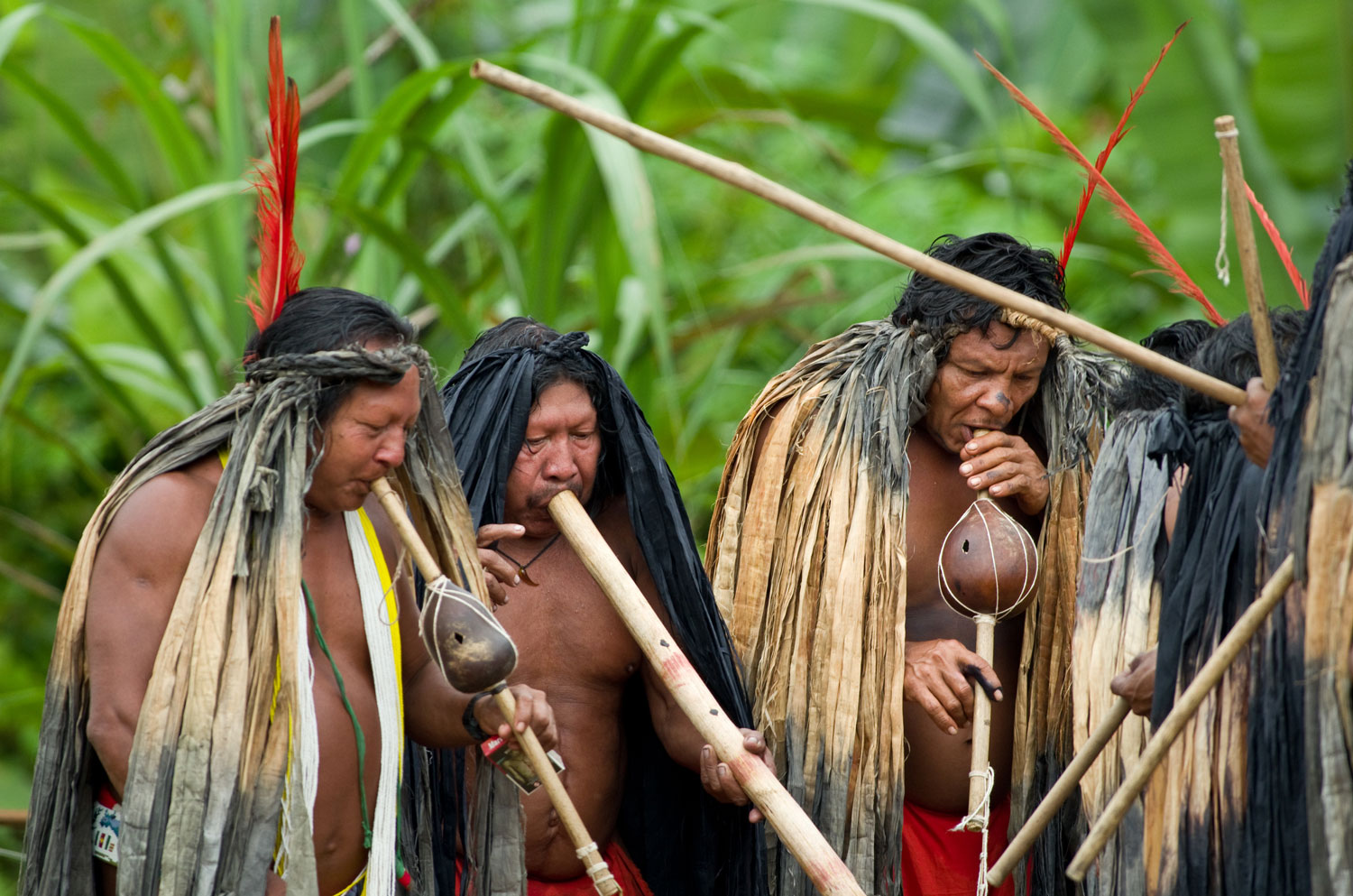 Cérémonie de la danse Pakou, un grand chant dansé à Trois-Sauts – crédit Parc amazonien G FEUILLET
