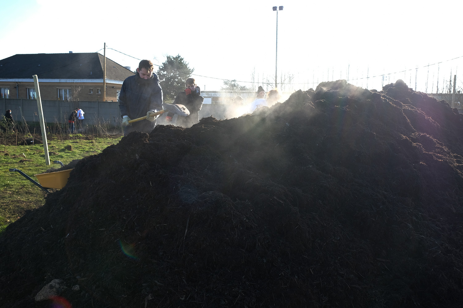 Les planteurs recouvrent le sol fraichement travaillé de compost © Globe Reporters