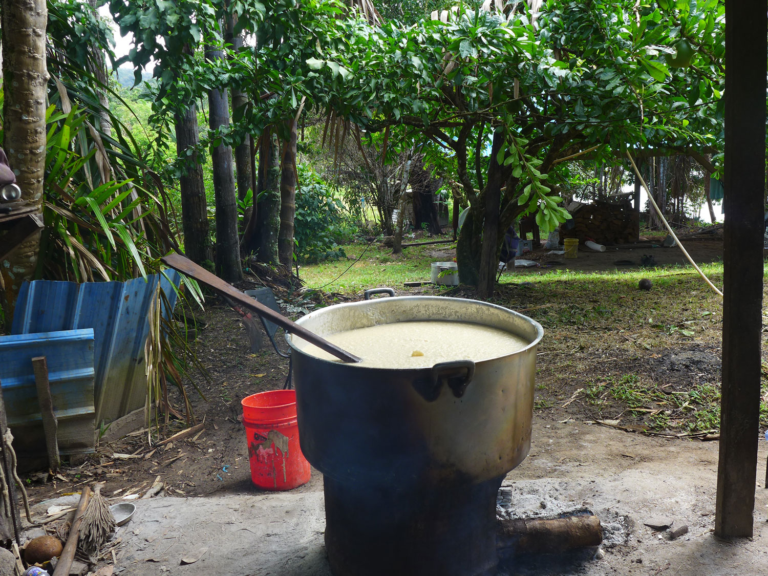Cuisson au feu de bois du manioc.