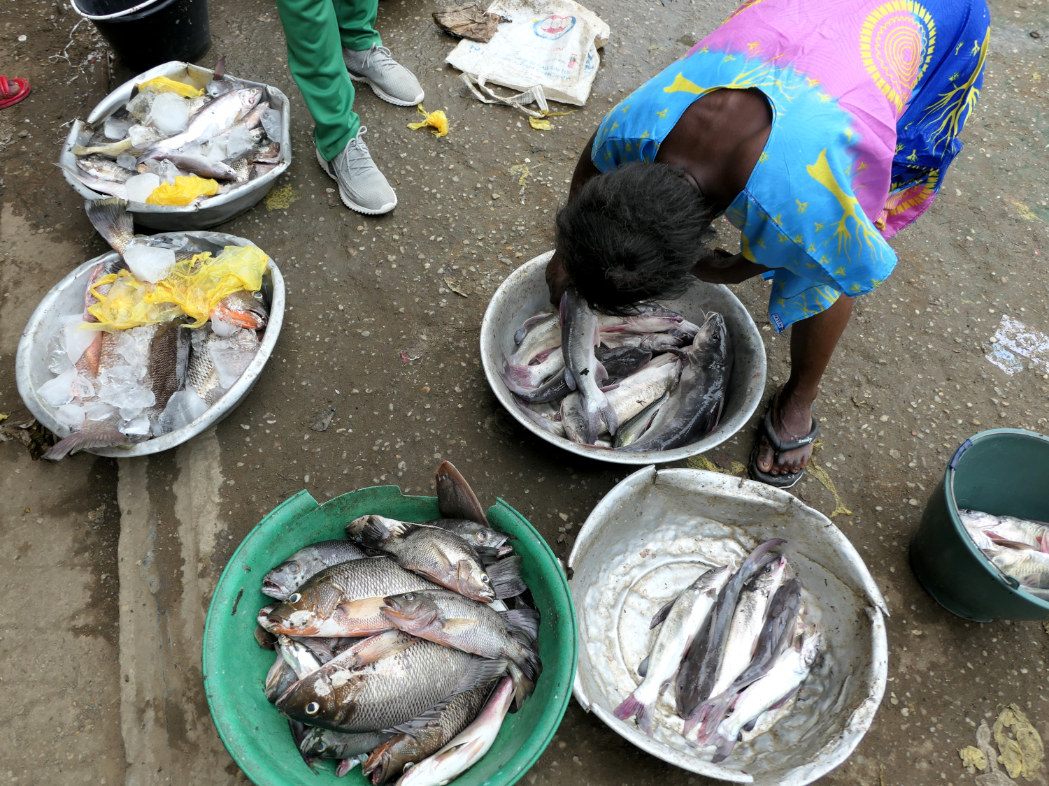 Étalage de la pêche du jour © Globe Reporters
