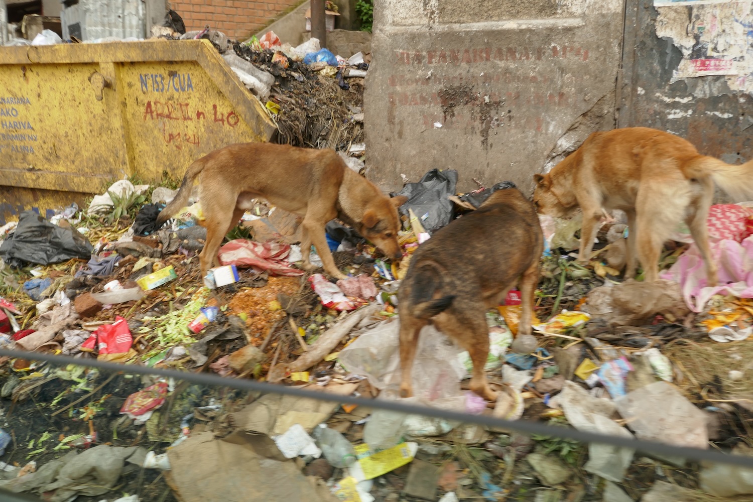Un conteneur à ordures dans le centre d’Antananarivo © Globe Reporters