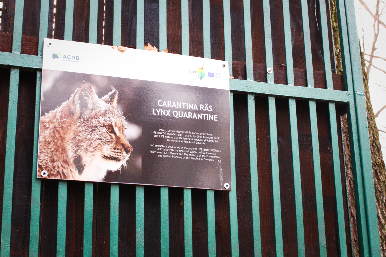 Cet affichage annonce les cages où les lynx passent en quarantaine avant d’être envoyés dans d’autres pays. Ces cages sont couvertes pour éviter que l’animal soit perturbé en voyant l’extérieur et des êtres humains. © Globe Reporters