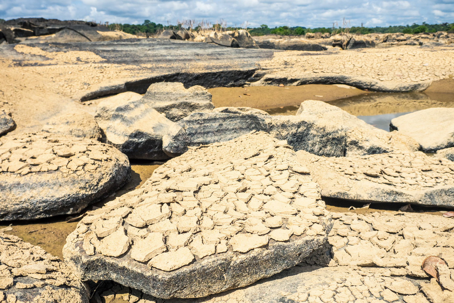 Gros plan de la destruction du fleuve – crédit WWF