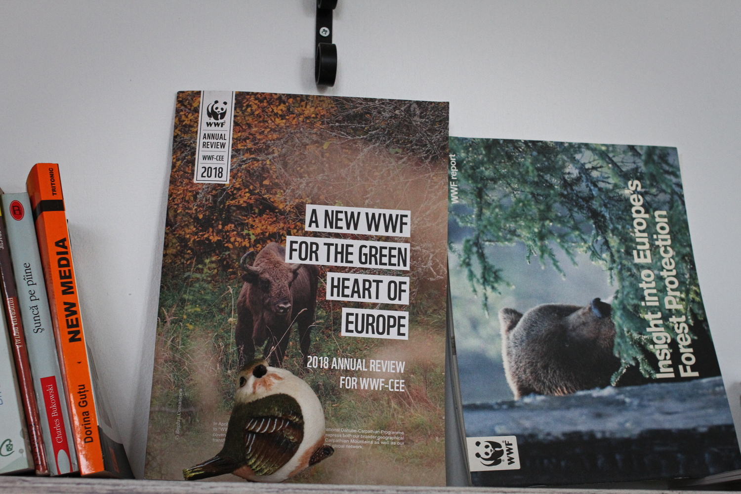 Un magazine de WWF qui met le bison à l’honneur © Globe Reporters