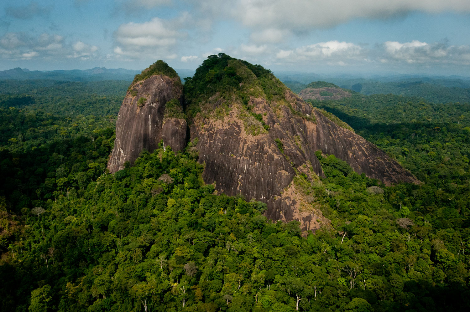 Pic Coudreau du Sud – crédit G. FEUILLET Parc amazonien de Guyane