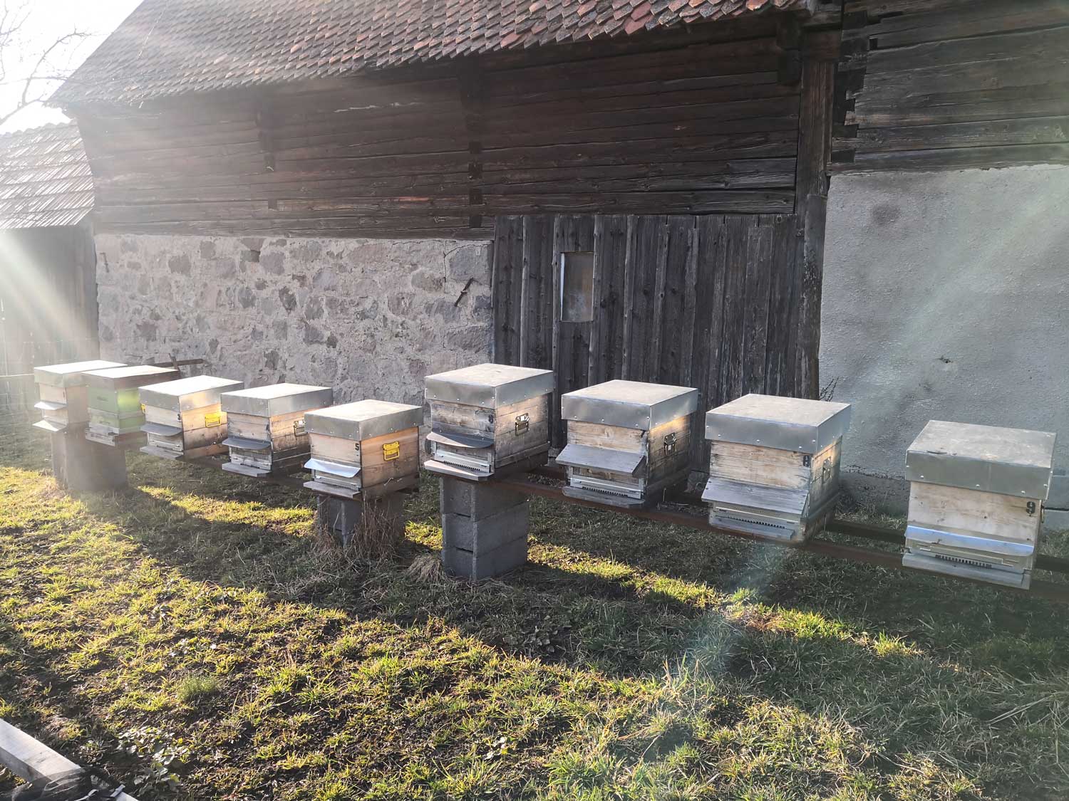 Les abeilles, bien tranquilles à l’intérieur de leurs ruches © Globe Reporters