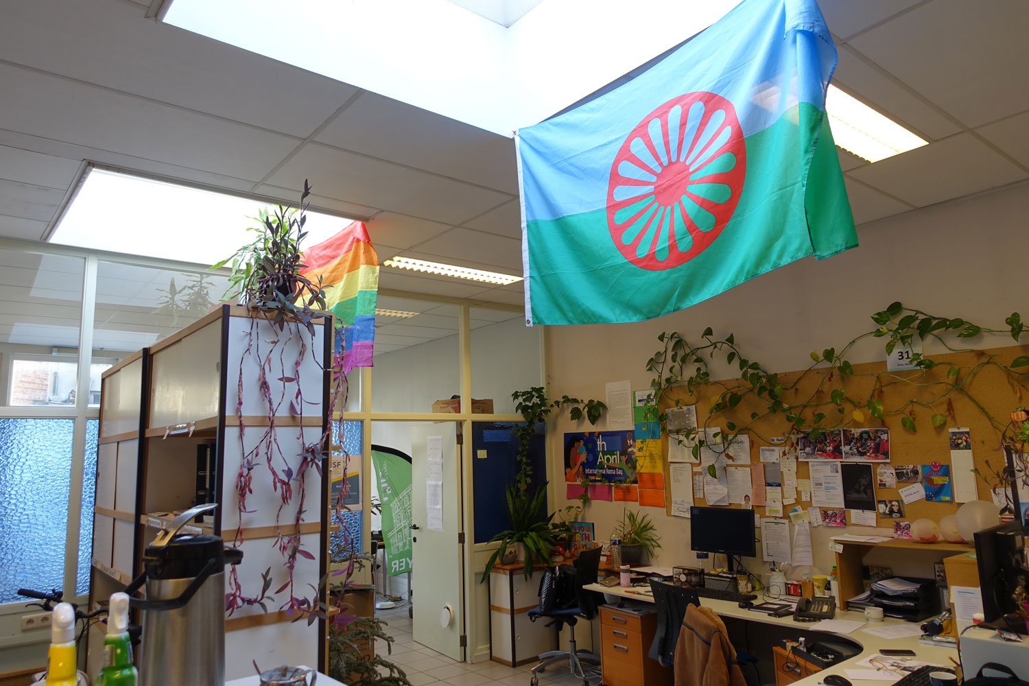 Le drapeau rom flotte au-dessus des bureaux © Globe Reporters