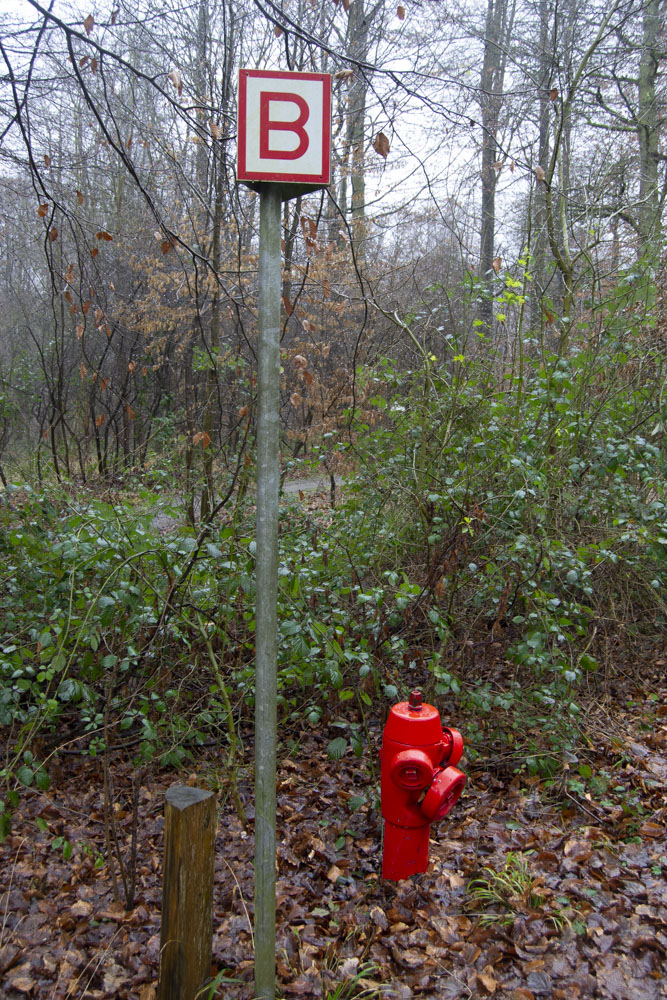 Une des bornes incendie installée aux abords de la forêt © Globe Reporters