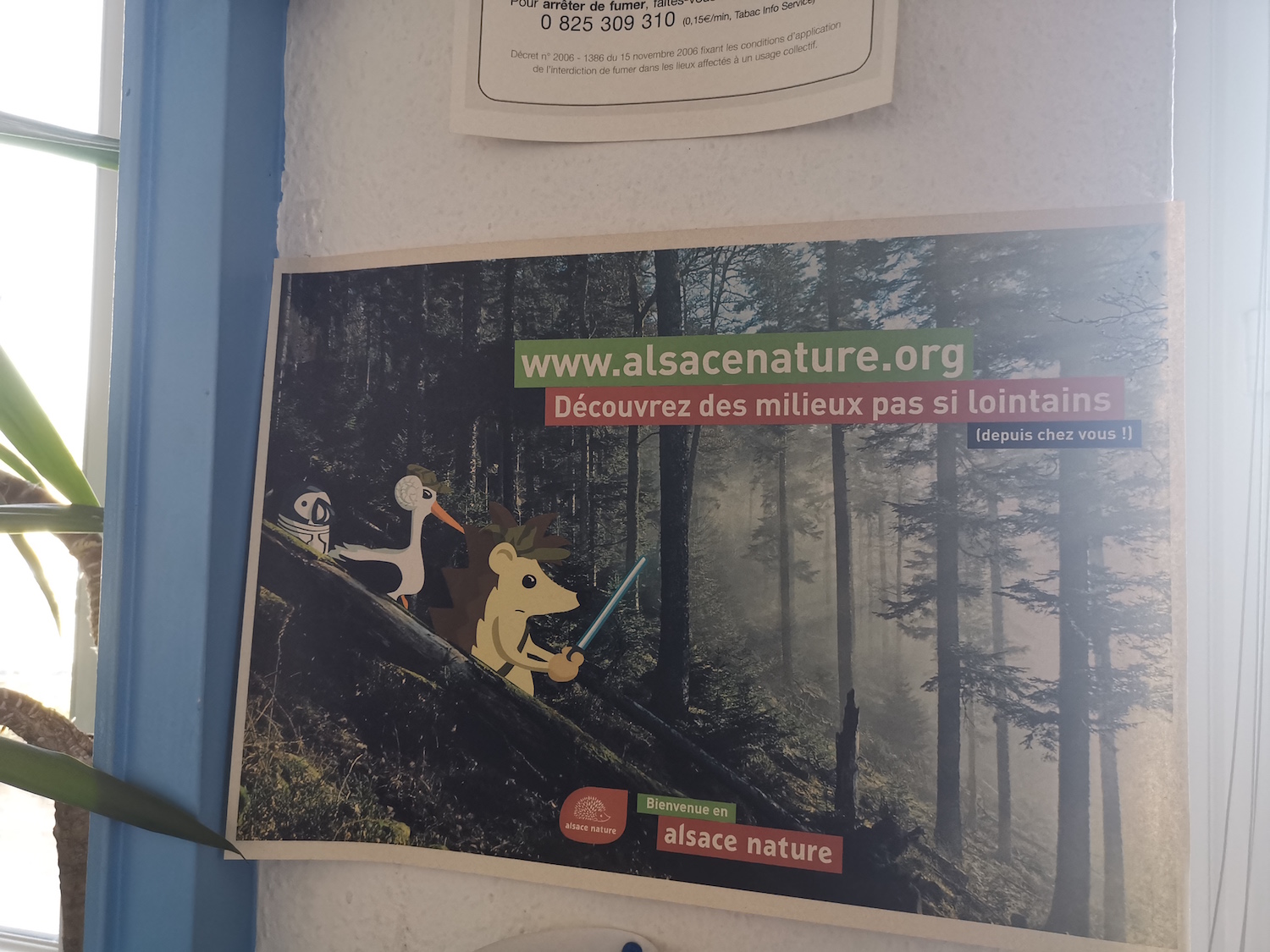 Un poster de l’association Alsace Nature © Globe Reporters