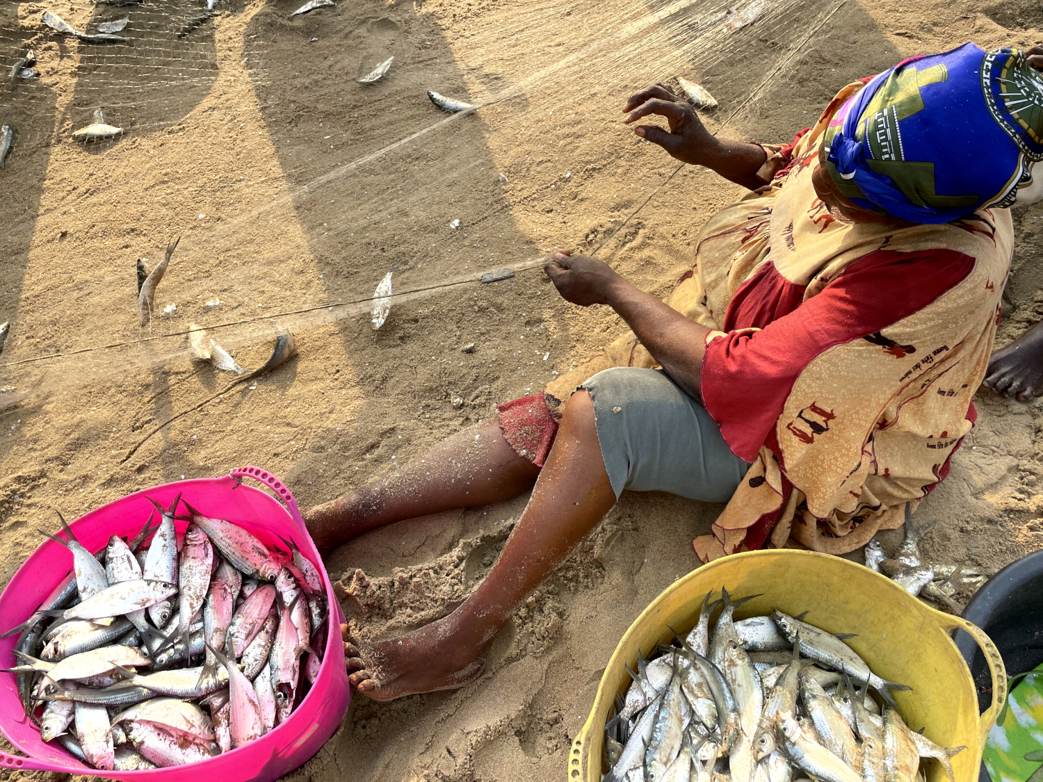 Les femmes du village sont venues enlever les sardines des filets que d’autres pêcheurs ont attrapées le même matin © Globe Reporters