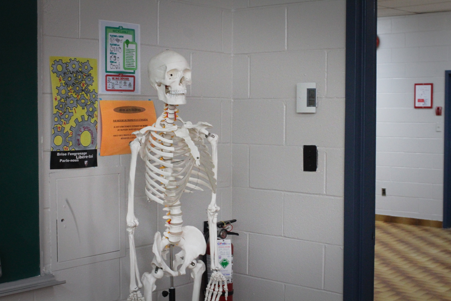 Le squelette nous observe dans la salle d’enregistrement.